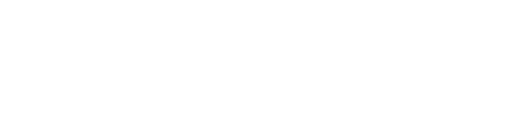 RacerStore